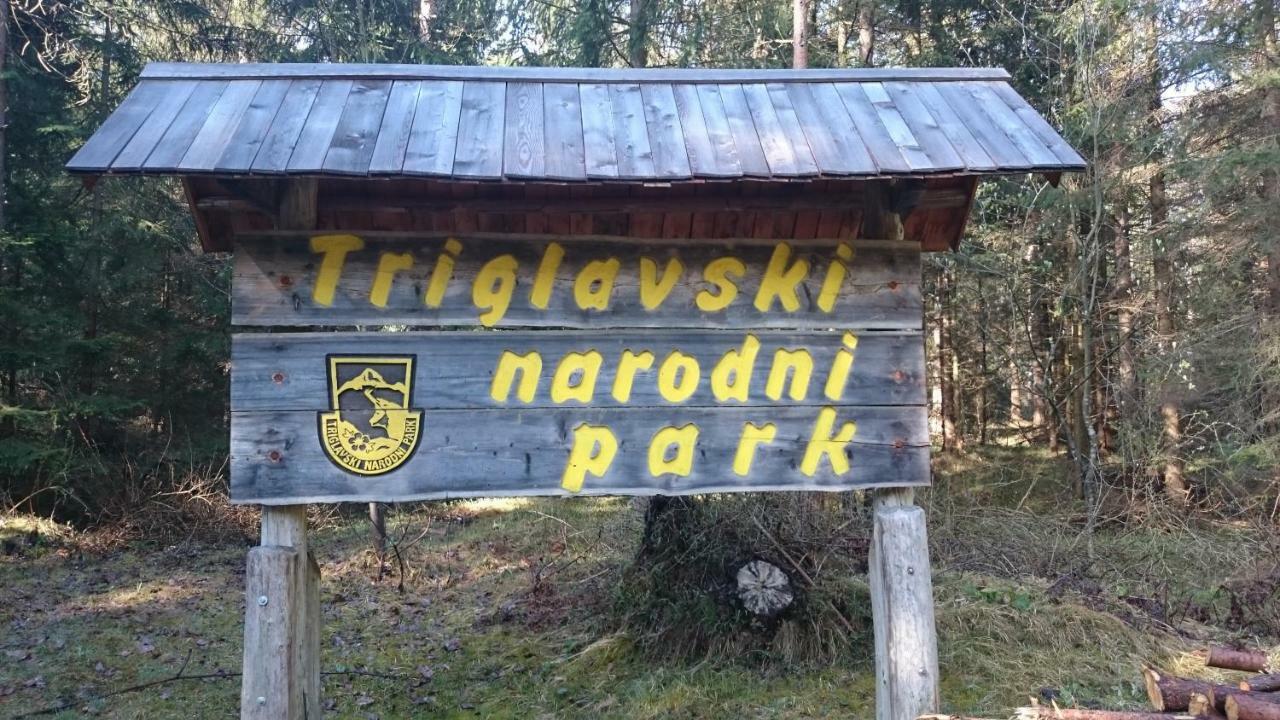 Zajcek Apartma Мойстрана Екстериор снимка