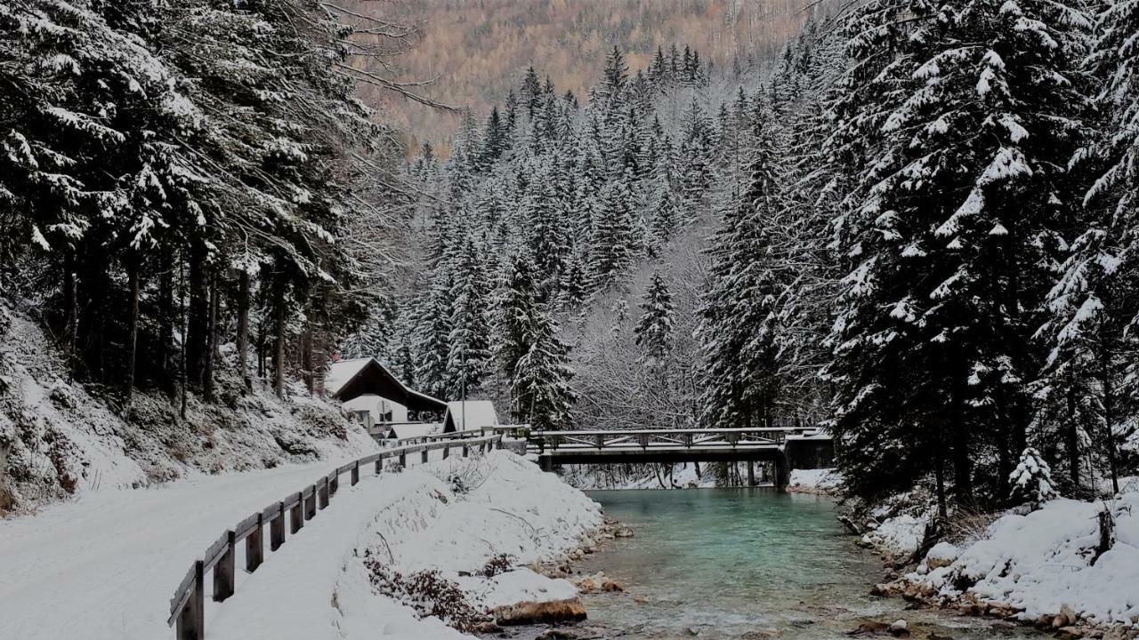 Zajcek Apartma Мойстрана Екстериор снимка
